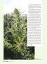 Page: - 52 | High Times