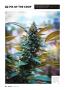 Page: - 64 | High Times