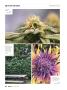 Page: - 66 | High Times