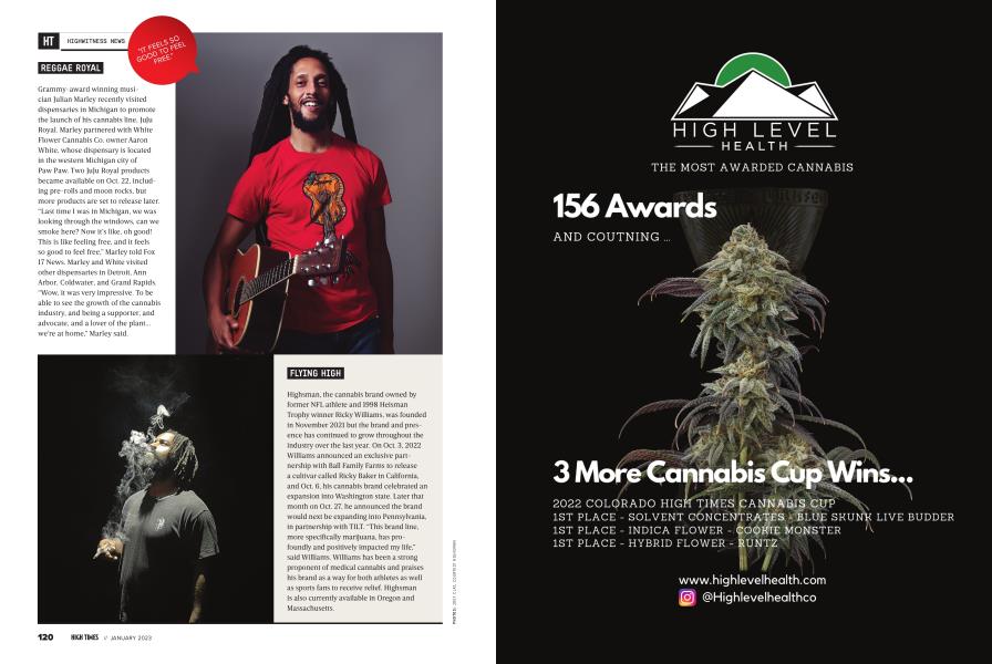 REGGAE ROYAL