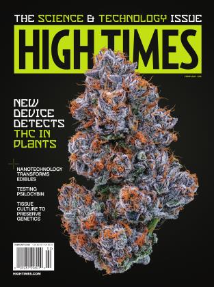 FEBRUARY 2023 | High Times
