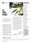 Page: - 10 | High Times