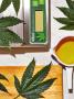 Page: - 111 | High Times