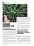 Page: - 18 | High Times