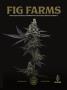 Page: - 2 | High Times