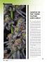 Page: - 40 | High Times