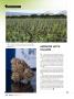 Page: - 48 | High Times