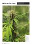 Page: - 64 | High Times