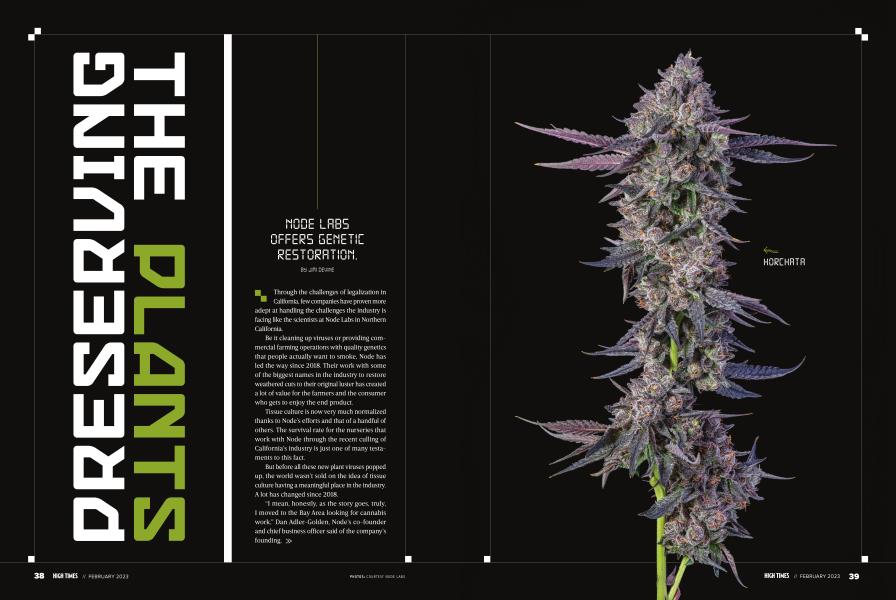 PRESERVING THE PLANTS