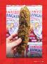 Page: - 55 | High Times