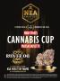 Page: - 61 | High Times
