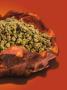 Page: - 69 | High Times