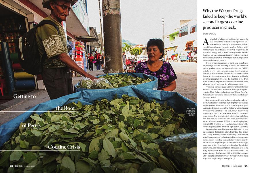 Getting to the Root of Peru's Cocaine Crisis