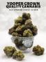 Page: - 11 | High Times
