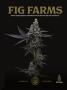Page: - 23 | High Times