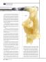 Page: - 30 | High Times