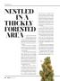 Page: - 36 | High Times