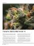 Page: - 40 | High Times