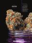 Page: - 49 | High Times