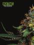 Page: - 68 | High Times