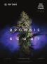Page: - 9 | High Times
