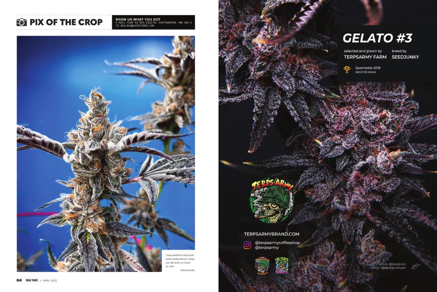 PIX OF THE CROP