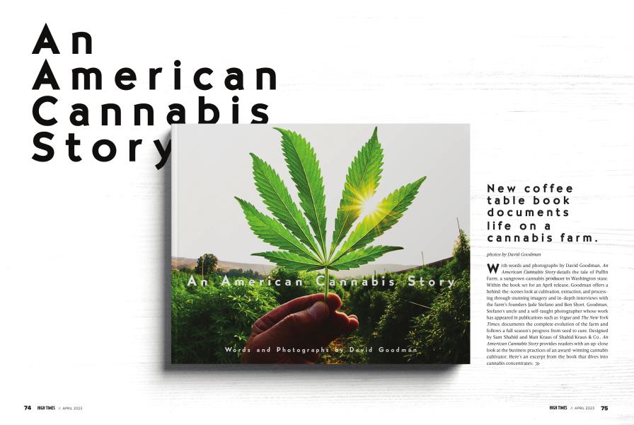 An American Cannabis Story