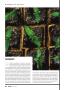 Page: - 38 | High Times