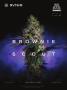 Page: - 4 | High Times