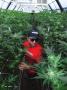 Page: - 48 | High Times