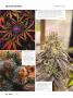 Page: - 66 | High Times