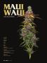 Page: - 78 | High Times