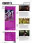 Page: - 8 | High Times