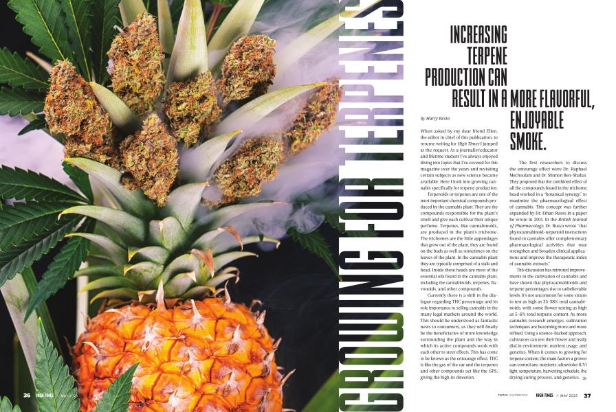 GROWING FOR TERPENES