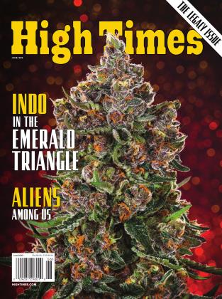 JUNE 2023 | High Times