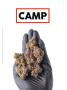 Page: - 134 | High Times