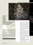 Page: - 38 | High Times