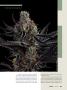Page: - 39 | High Times