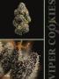 Page: - 40 | High Times
