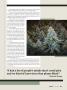 Page: - 43 | High Times