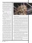 Page: - 62 | High Times