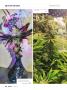 Page: - 66 | High Times