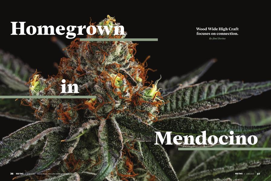Homegrown in Mendocino