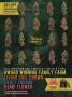 Page: - 33 | High Times
