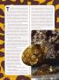 Page: - 46 | High Times