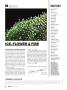 Page: - 8 | High Times
