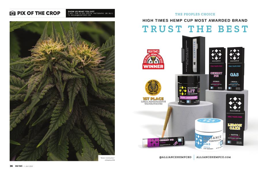 PIX OF THE CROP