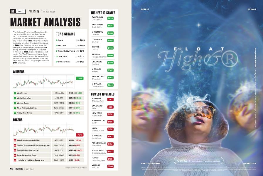 MARKET ANALYSIS