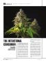 Page: - 12 | High Times