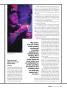 Page: - 17 | High Times
